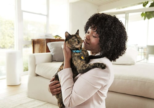 Premium 14x14x1 Furnace Air Filters for Home Comfort